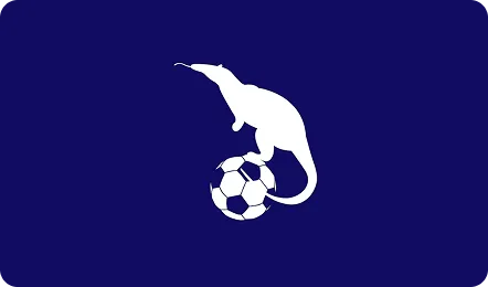 Community Sports & Creative Underground Collective